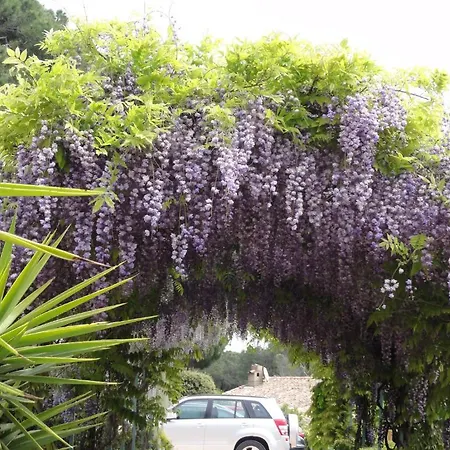 Отель Des Oliviers 3*