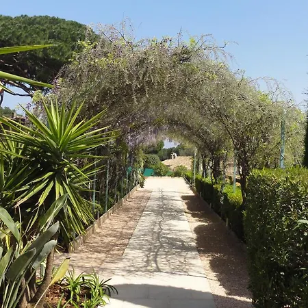 Des Oliviers 3* Сент-Максим