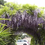 Hotel Des Oliviers 3*
